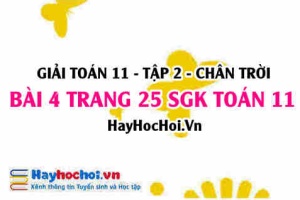 Bài 4 trang 25 Toán 11 tập 2 Chân trời sáng tạo: Đồ Thị Hàm Số Lôgarit